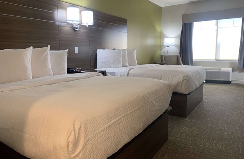 Horseheads Hotel | Best Western Plus Horseheads Inn & Suites