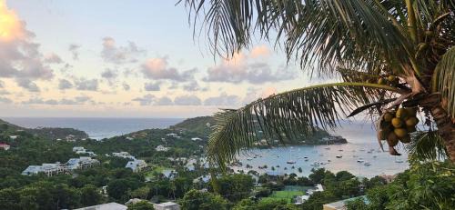 Estate Bethany Apartment | Bethany House - IMMACULATE OCEAN VIEWS Above the Westin Resort - Large Deck