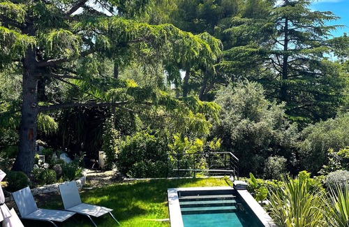 Mougins Apartment | Between CANNES and GRASSE In the heart of MOUGINS garden level 3 rooms swimming pool