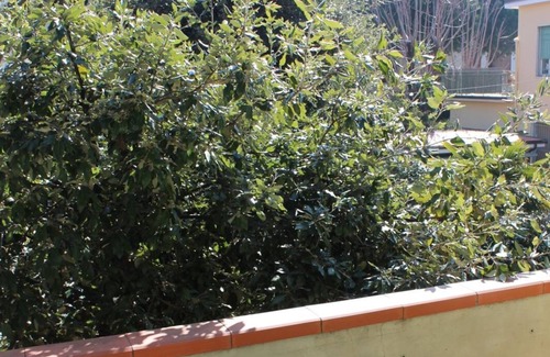 Marina di Massa Apartment | Between Cinque Terre and Pisa - Marina di Massa with garden 100 mt from the beach