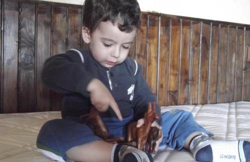 Demre House | Beymelek Tas Evler