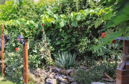 Kunreuth Apartment | Bianca