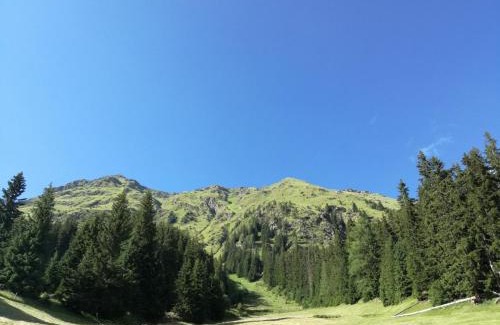Hopfgarten in Defereggen Apartment | Bichlerhof