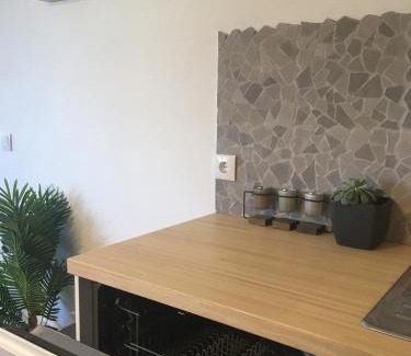 Praia de Mira House | Bico das flores