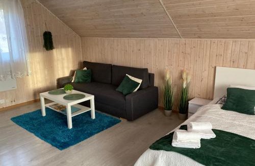 Ustrzyki Dolne Apartment | Bieszczadzki kącik