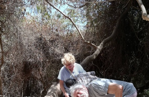 Kerr Serign Cabin | BIJILO'S UNIQUE EXPERIENCE UNDER THE MANGO TREES