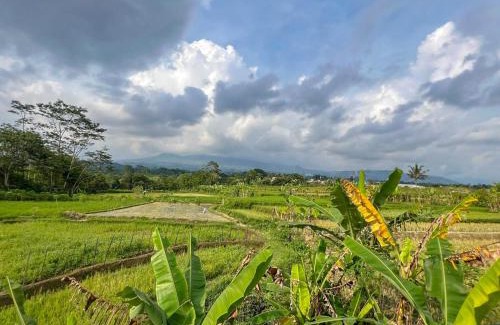 Wonosobo Hotel | Bilqis Homestay Syariah Mitra RedDoorz