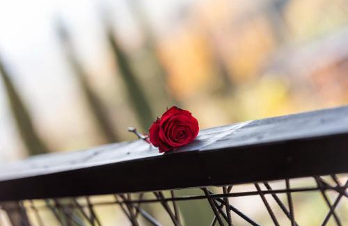 Pianizza Di Sopra Apartment | Biobauernhof St. Quirinus