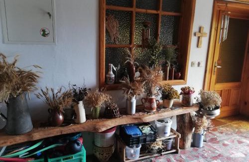 Ozimek Apartment | Biohof Am Turawa-See