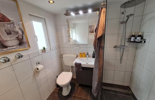 Bad Bergzabern Apartment | bird's nest Ferienwohnung in der Altstadt, offenes Fachwerk