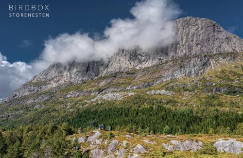 Gaular Municipality Other | Birdbox Storehesten