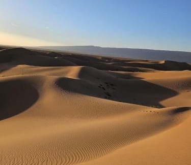 Allougoum Hotel | BiVOUAC CÔTE-IRIKI