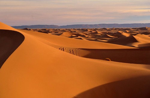 Amezrou RV Rental | Bivouac Draa - Nuit dans le désert