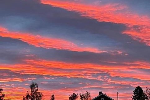 Vamhus Apartment | Blåsbocka, lägenhet i hus 3 rok