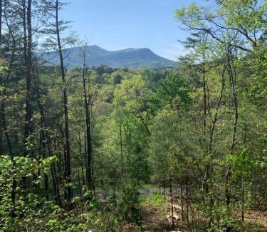 Pigeon Forge House | Black Bear Hibernation - A Gorgeous Smoky Mountain Cabin with Mountain Views