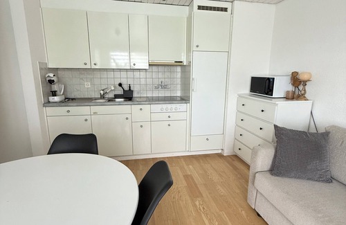 Oberuzwil Condo | Black & White Apartment