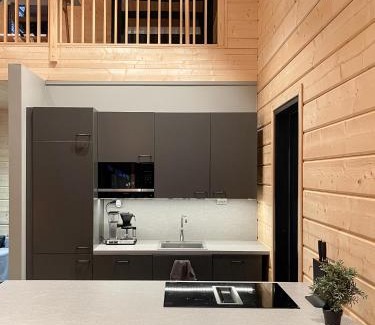 Sirkka Ski Chalet | Black Work Levi Aarni
