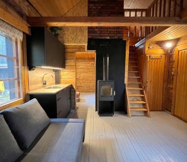 Sirkka Ski Chalet | Black Work Levi Autti