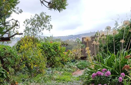 Tanunda House | Blackbird Cottage - Stunning views & farm animals