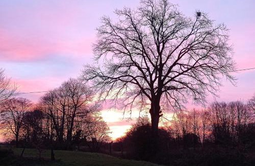 Mantilly House | Bleu - 3 star small gite with hot tub and heated pool