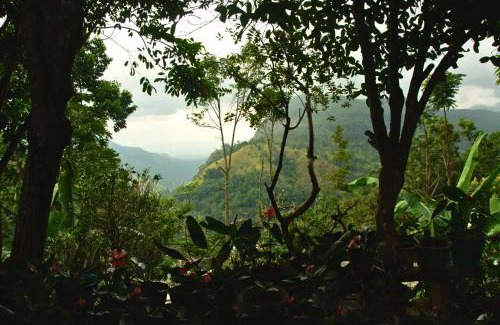 Ella Bed & Breakfast | Bliss In Viya