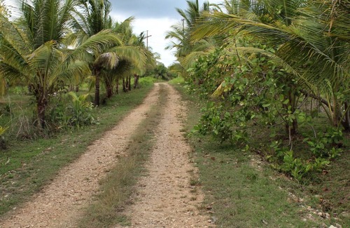Armenia House | Blossom Ranch: A Floral Oasis In Belize