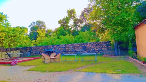 Pushkar Resort | Blue Tree Resort