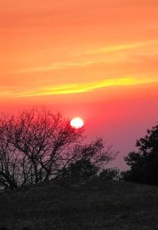 Naina Range House | Bluepine Cottages Pangot