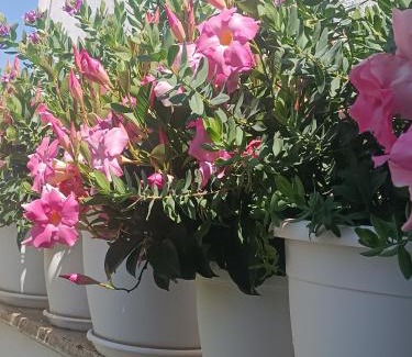 Andria Bed & Breakfast | Blumoon boutique