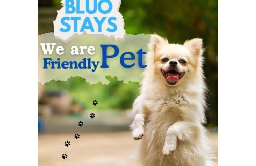 Kailash Colony Apartment | BluO Studio - M Block Mkt Greater Kailash