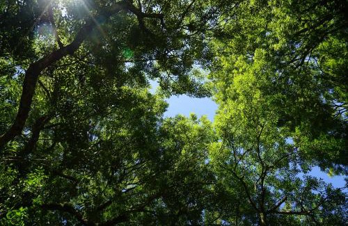 Moutiers-Sous-Chantemerle Bed & Breakfast | Bocage Belle Histoire