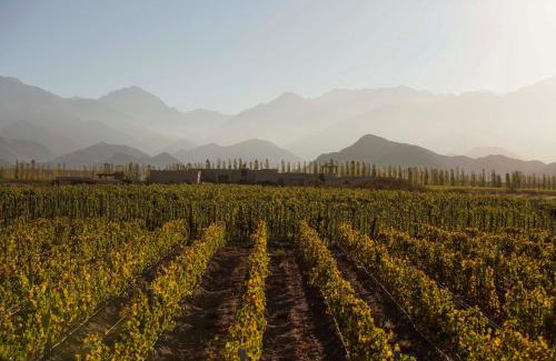 Vista Flores Cabin | Bodega Alpasión Lodge y Glamping