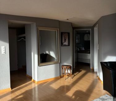 Lichtensteig Apartment | Bodega NOI Apartement