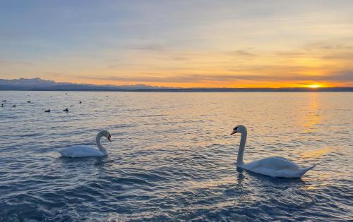 Immenstaad am Bodensee Ski Chalet | Bodensee Häusle