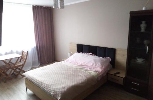 Boguszow-Gorce Apartment | Boguszów