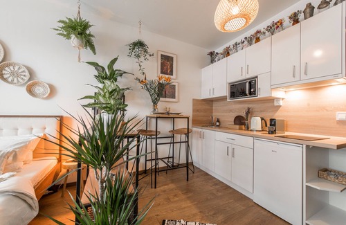 Kosice Old Town Apartment | 🌣 Bohemian Oasis in Old Town of Košice ༄