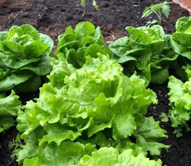 Sabadia House | Bonalife - Senda del Oso