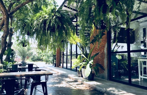 Roma Norte Apartment | Bongo Stays Top Location LUX Unit