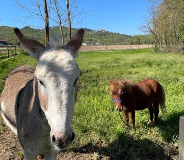 Baiano House | Borgo delle Mole