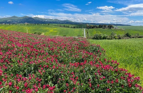 Santa Luce House | Borgo La Torre
