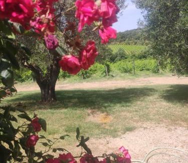 Montalcino House | Borgo Villa a Tolli