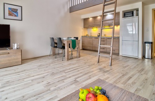 Hradec Kralove Apartment | Boromeum Residence
