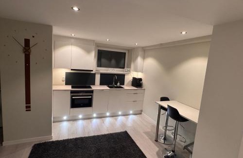 Horten Apartment | Borre