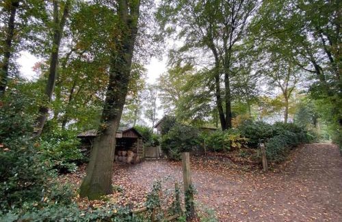 Doldersum House | Boshuisje Doldersum: omheinde tuin en uniek uitzicht