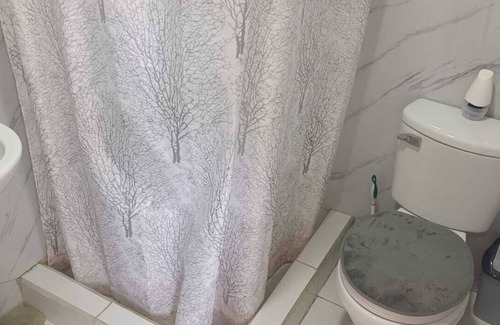 Valdivia Cottage | Bosque Valdiviano Apartment, Fantastic cottage with WiFi in Valdivia