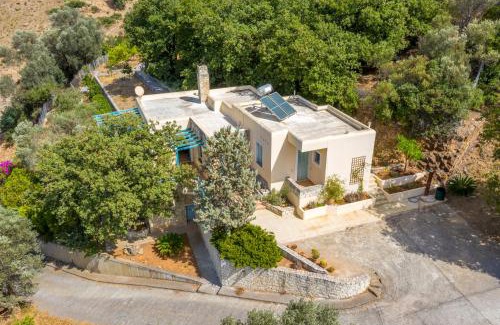 Fodele Villa | bougainvilla