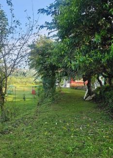 Naukuchiyatal Bed & Breakfast | Bougainvilla Mountain Retreat, near Bhimtal