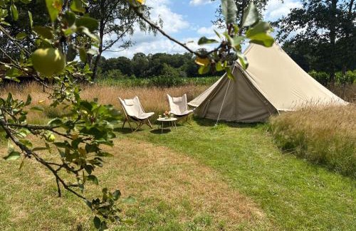 Vorden Other | Boutique tent bij Laaken op Zand unieke plek in het groen met luxe bed