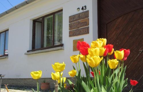 Bozsok Apartment | Bozsoki Pihenő