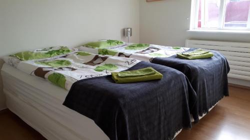 Eyjafjaroarsveit House | Brúnalaug Guesthouse - Holiday Home